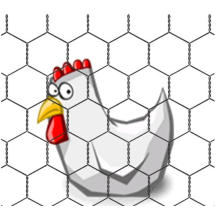 chicken coop hexagonal wire mesh,chicken wire net pool fence